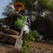 Cristhian Alejandro Aguilar Mández de la Escuela Industrial y Preparatoria Técnica “Pablo Livas” por la fotografía titulada “Farmer Toy”