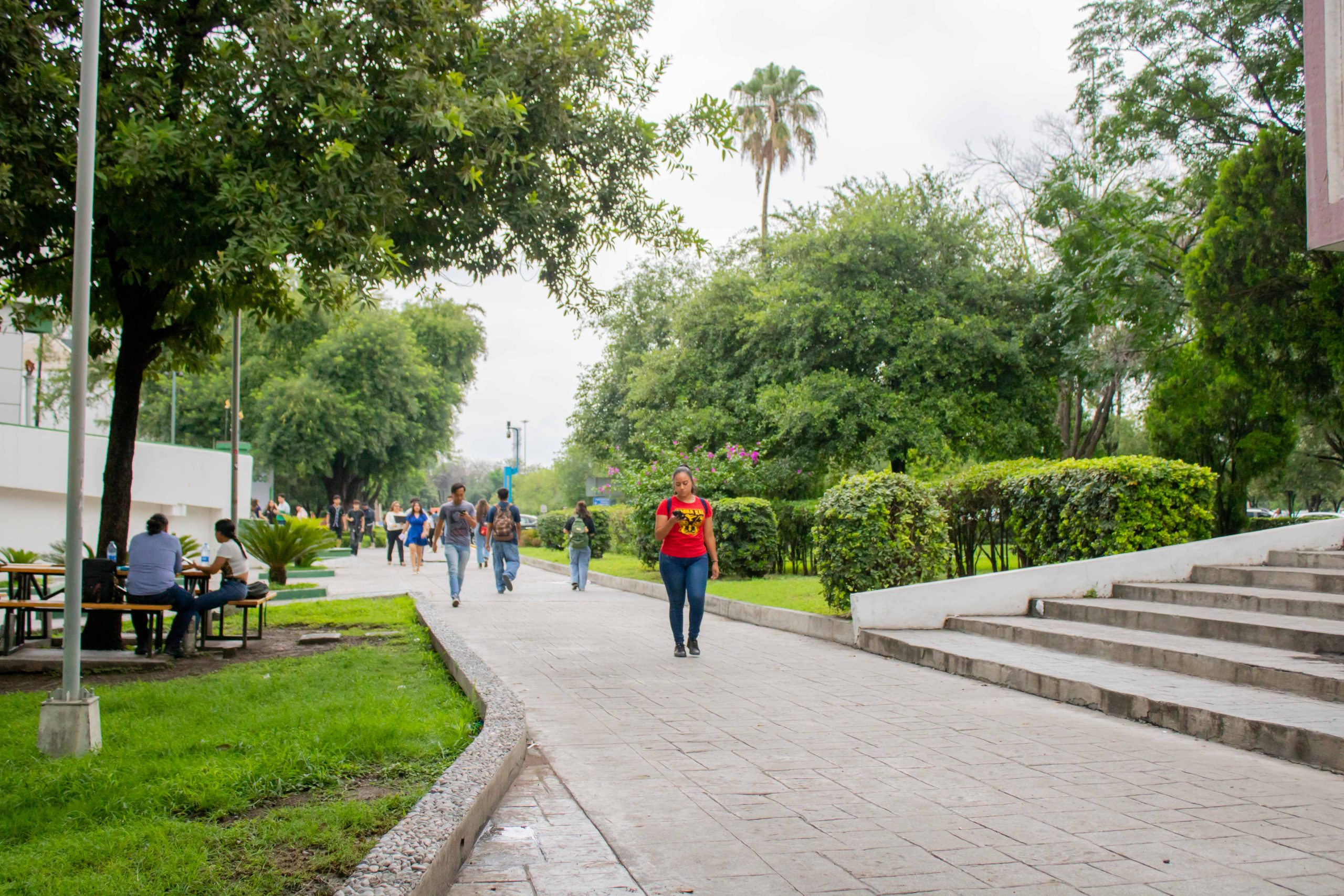 Bienvenidos al semestre agosto-diciembre 2024