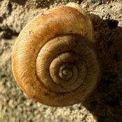 “La geometría sagrada bajo nuestros pies” por Adrián Alejandro Paz González de la Facultad de Psicología