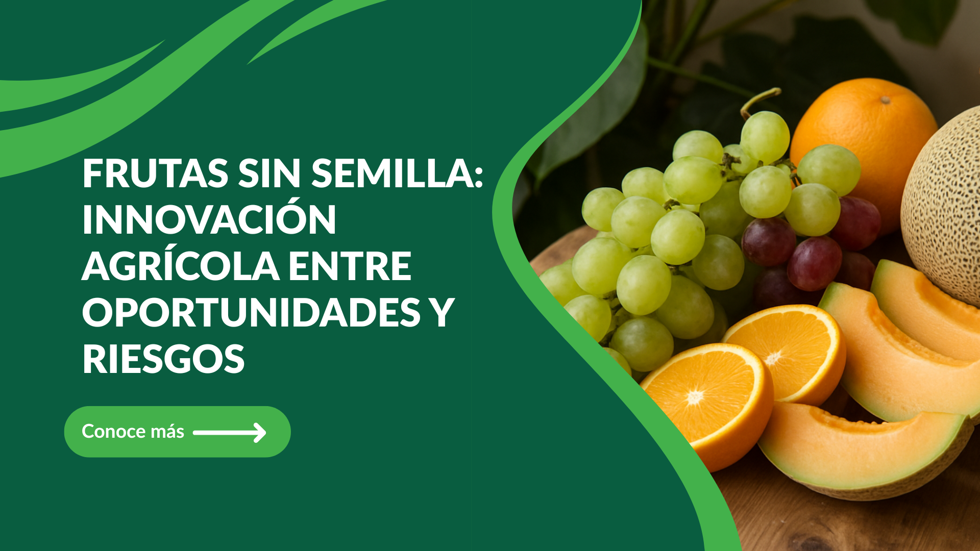 Frutas sin semilla: innovación agrícola entre oportunidades y riesgos