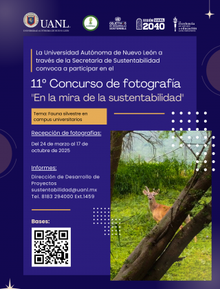 Concurso de fotografía
