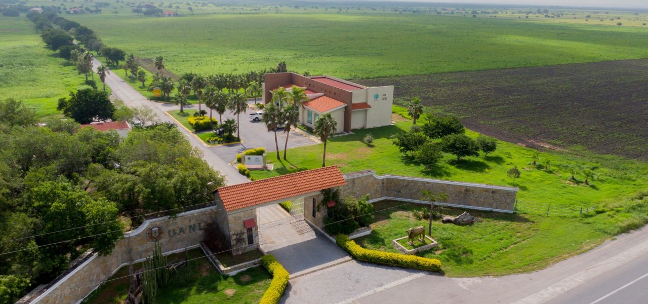 Linares_Drone-19