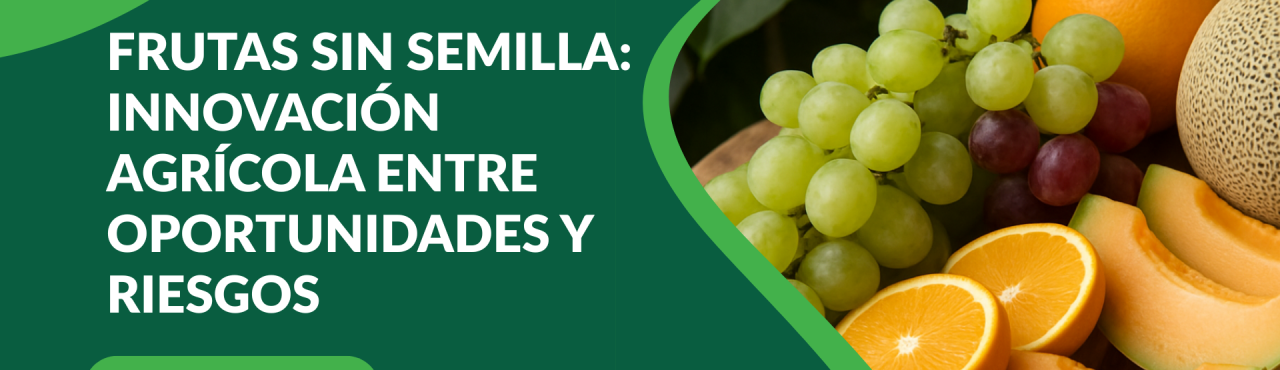 Ventajas de Frutas Sin Semillas Demanda y Usos