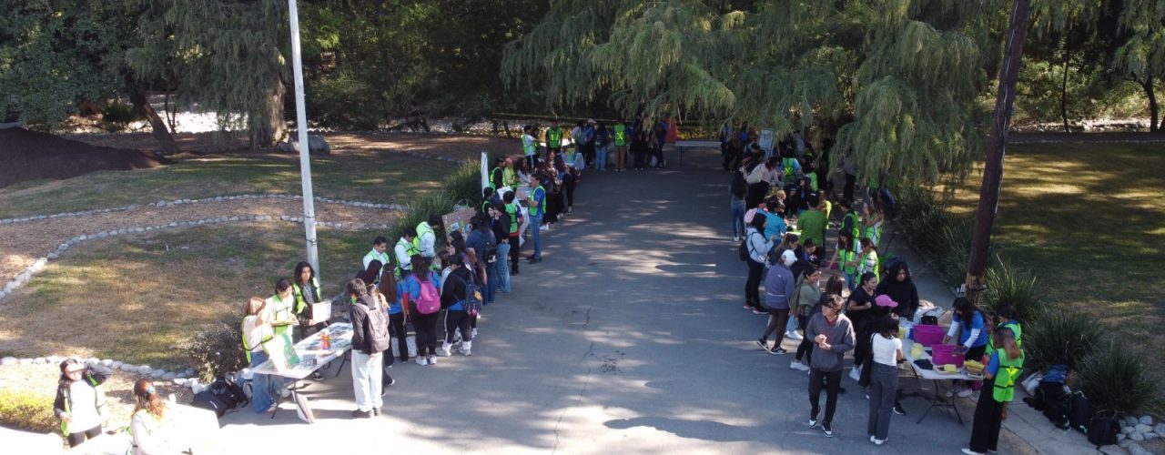 WhatsApp Image 2025-11-19 at 16.08.12