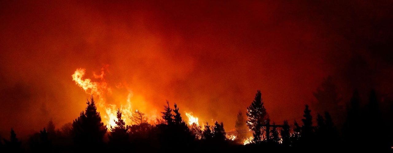 © Matias Garay / Greenpeace